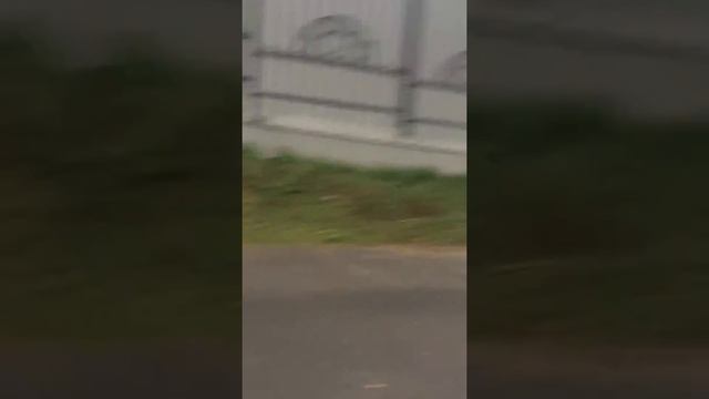 Мусор в Курске в овраге. Ул. Советская. смотреть онлайн