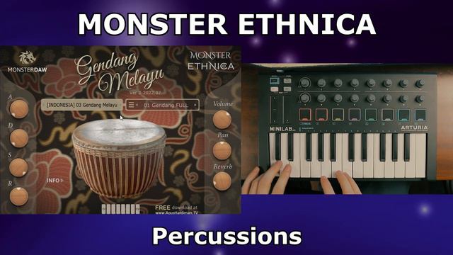 MONSTER ETHNICA FREE VST With Indonesian Ethnic Instruments