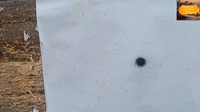 Progress 80мм. 0,5 vs Дудка 150мм. 0,5. Розыгрыш чока!!! Заруба устройств. Чок Прогресс. смотреть онлайн