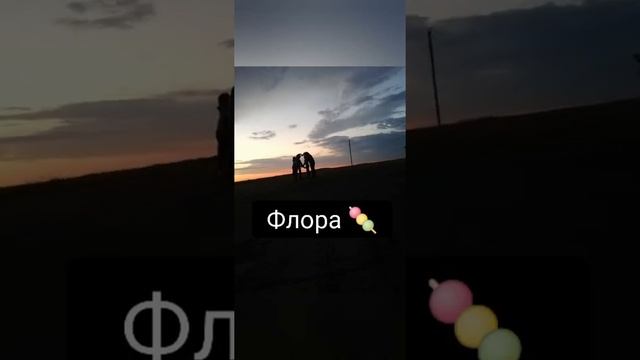 Редкие но красивые женские имена? #Shorts Anika L ? смотреть онлайн