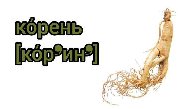 Как произносится корень по-русски