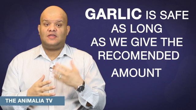 Is Garlic Good For My Dog? смотреть онлайн