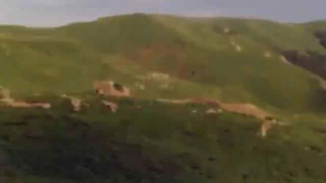 Чеченские башни смотреть онлайн