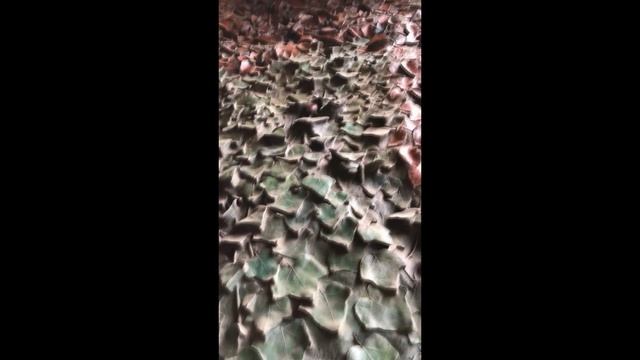 Sagrada Familia. Собор Саграда Фамилия (Барселона, Испания) смотреть онлайн