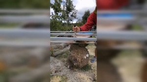 Как сделать быстро спилы.