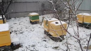 Зимовка пчел в ульях ППУ. Контроль вентиляции.