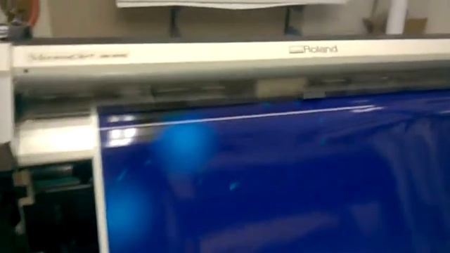 WP 20170529 22 09 08 Pro