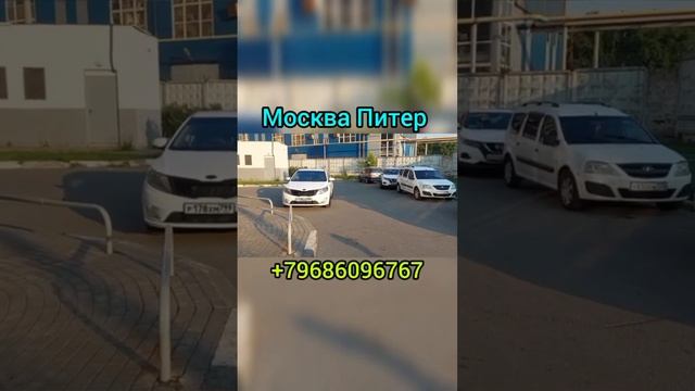 Москва Санкт-Петербург такси мигранты киргизы таджики узбеки такси москвапитер2022 #МоскваПитертакс смотреть онлайн