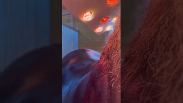 То чувство когда грива лошади смотрится лучше чем твои волосы?? смотреть онлайн