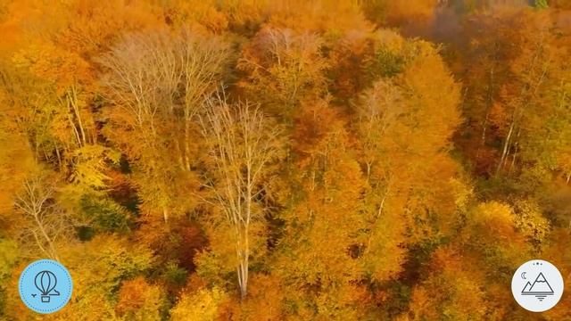 Практика доброты к себе, Управляемая медитация, Снятие стресса, Снятие беспокойства, Высвобождение смотреть онлайн