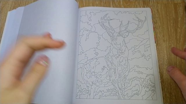 Meditation Color By Numbers. Обзор.