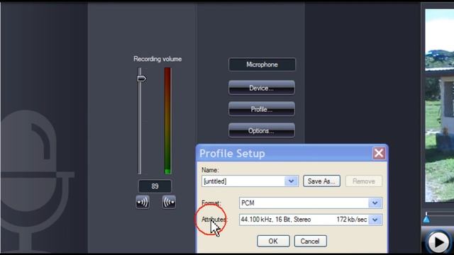 CyberLink PowerDirector 7 - Voice-Over смотреть онлайн