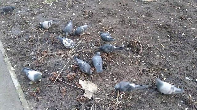 ЗАПОРОЖЬЕ ВСЕ ЖДУТ 25.01.23 смотреть онлайн