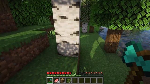 Top 10 Minecraft Epic and Cute Mods Must Download (1.16.5-1.16.4) смотреть онлайн