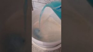 Как Правильно развести бордосскую смесь(медный купорос) для обработки роз и плодовых деревьев.