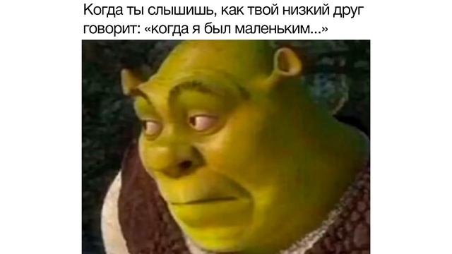 Дневная подборка мемов 866 смотреть онлайн