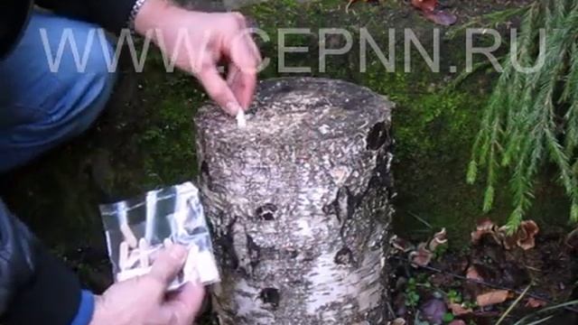 Посев грибов Вешенка смотреть онлайн