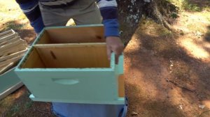 Пасека#127 Как Увеличить Пасеку Осенью в Два раза и иметь Запасных Маток Пчеловодство для начинающи