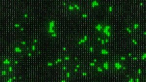 Футаж HD. Цифровой фон-2