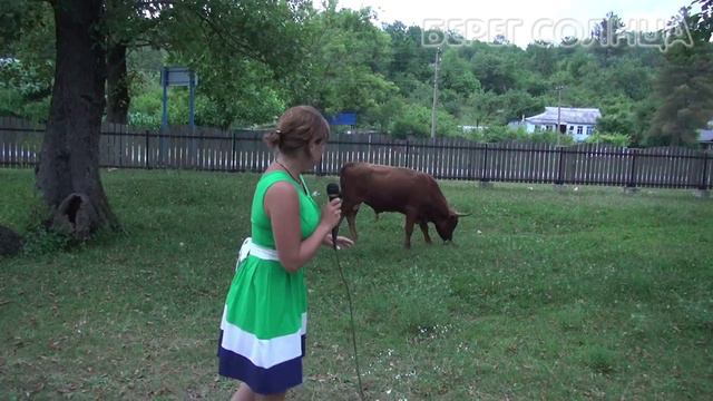 Экскурсии Берег Солнца Горный аул Ролик №2 смотреть онлайн