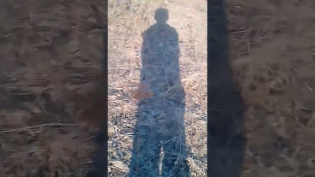 Покорение горы смотреть онлайн