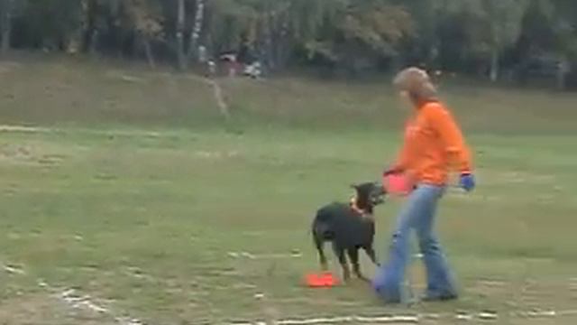 Люба и Дож Фризби-фристайл смотреть онлайн