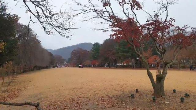 Где снимали дорамы "Зимняя соната" и "Человек со звезды" смотреть онлайн