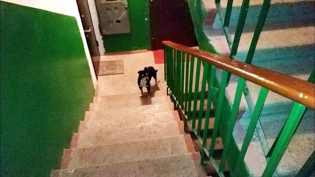 «Иди отсюда, пахнет на весь подъезд!» — выгоняли бездомного жильцы смотреть онлайн