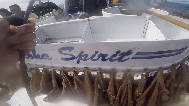 Fishing Sheephead, Lingcod, and other deep water fish on the Aloha Spirit! смотреть онлайн