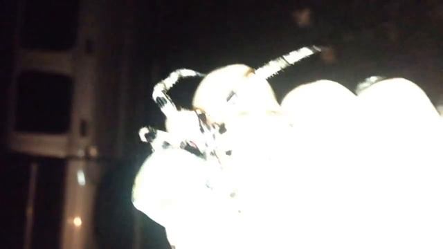 Giant Lichen Orbweaver (Araneus bicentenarius) смотреть онлайн