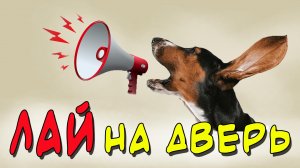 Что делать если собака лает на дверь и соседей или как отучить собаку гавкать?