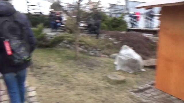 Праздник длинной колбасы Калининград 2016