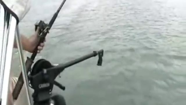 Lake Lanier Striper Fishing using Downriggers. смотреть онлайн