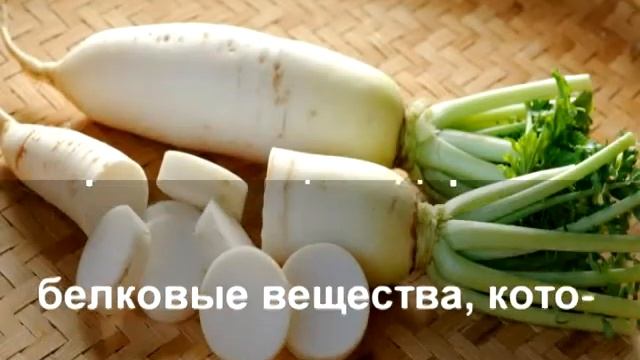 Вдохновение на Тарелке