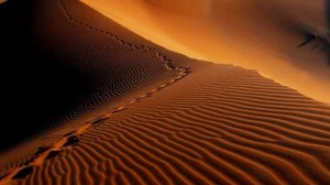 Missing-Everything But The Girl