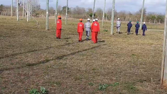 Linman training смотреть онлайн