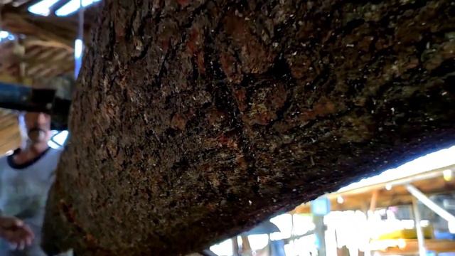 Amazing.. Sawing Large And Dangerous Pine Logs At The Sawmill смотреть онлайн