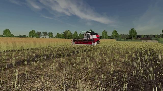 Farming Simulator 19 - Рассвет -51 - Уборочная и начало дискования смотреть онлайн