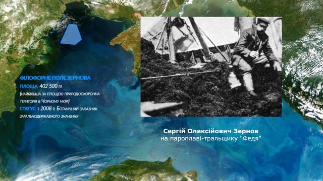 Філофорні поля Чорного моря смотреть онлайн