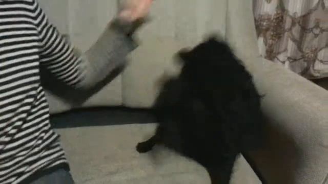 Малёк смотреть онлайн