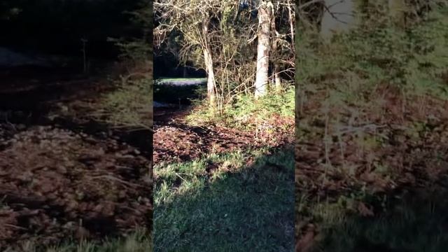 Yamaha ttr 125 dirt bike смотреть онлайн