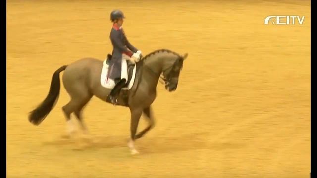 Клип в честь 70 подписчиков!) смотреть онлайн