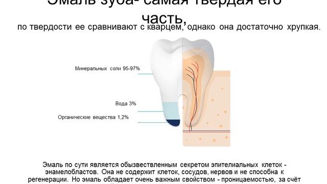 3 курс. Тема №1. Некариозные поражения зубов. Классификация. Методы диагностики. смотреть онлайн