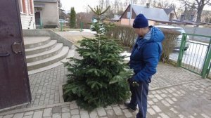 Как сделать измельчитель веток своими руками DIY. Производство щепы в домашних условиях.