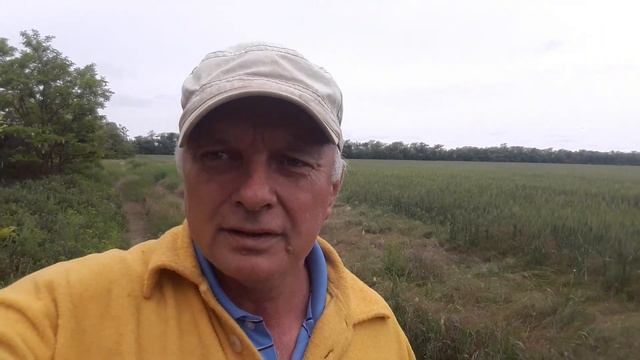 Цветёт Горох ,Акация смотреть онлайн