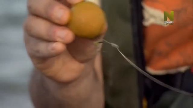 Ловля Карпа 6 серия I ВЕНГРИЯ смотреть онлайн