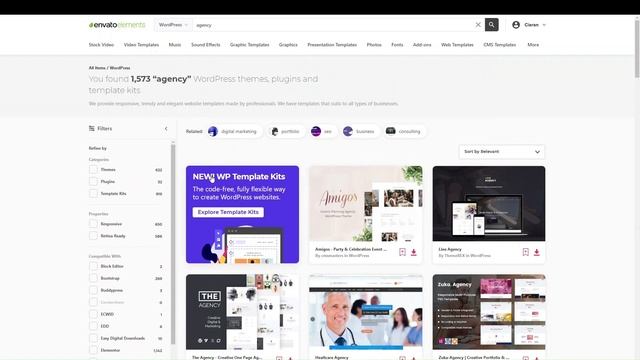 WordPress Website Design and Themes | WordPress | WordPress Tutorial | WordPress Themes смотреть онлайн