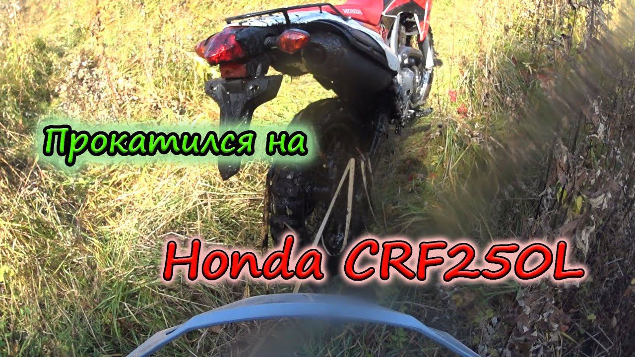 Прокатился на Honda CRF250L, закрыл мотосезон