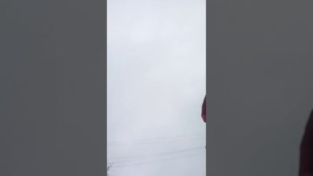 Седьмая окончательная часть поездки домой с магазина