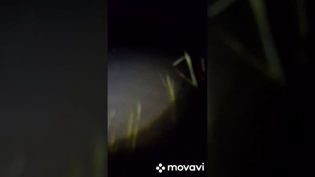 тест Тохатсу 3,5 и лодка 370 смотреть онлайн